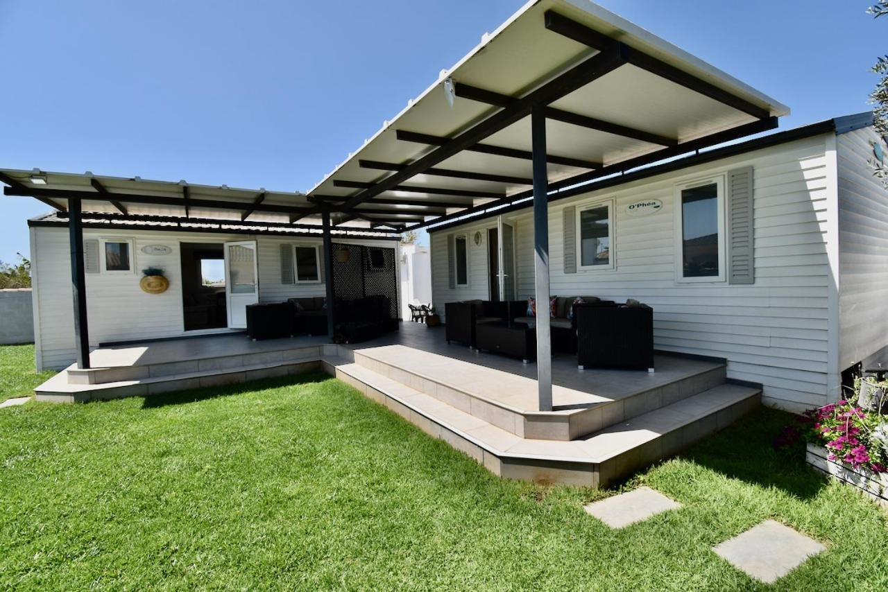 Arbol Del Tule Holiday home