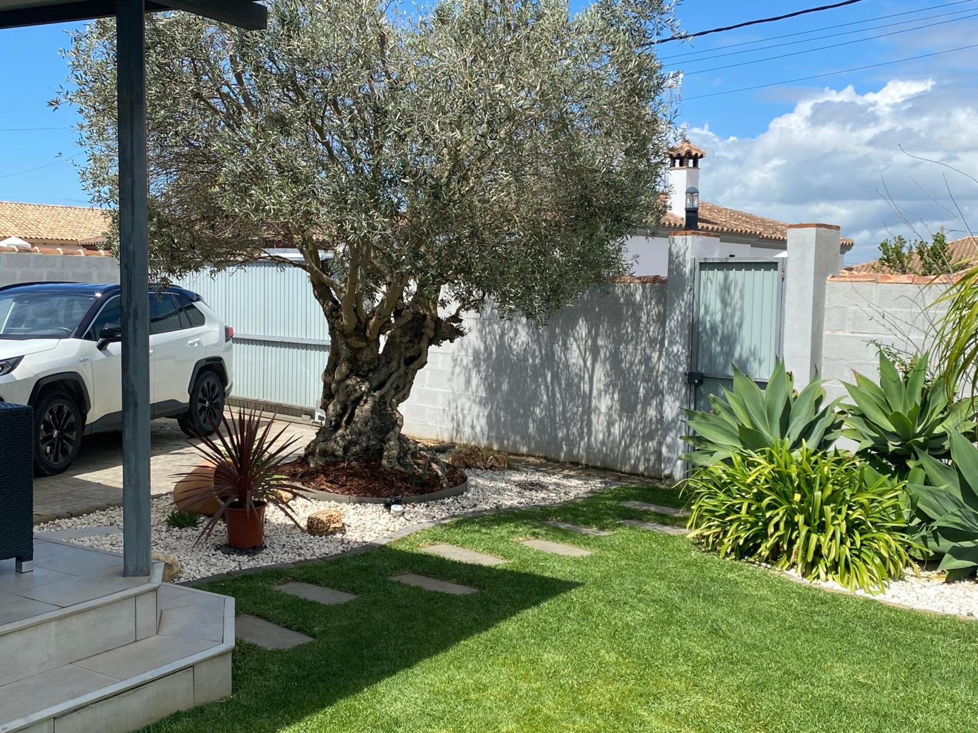 Arbol Del Tule Holiday home